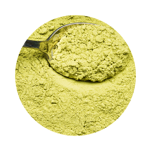Wooden spoon with fine beige herbal granules — polysaccharide concept.