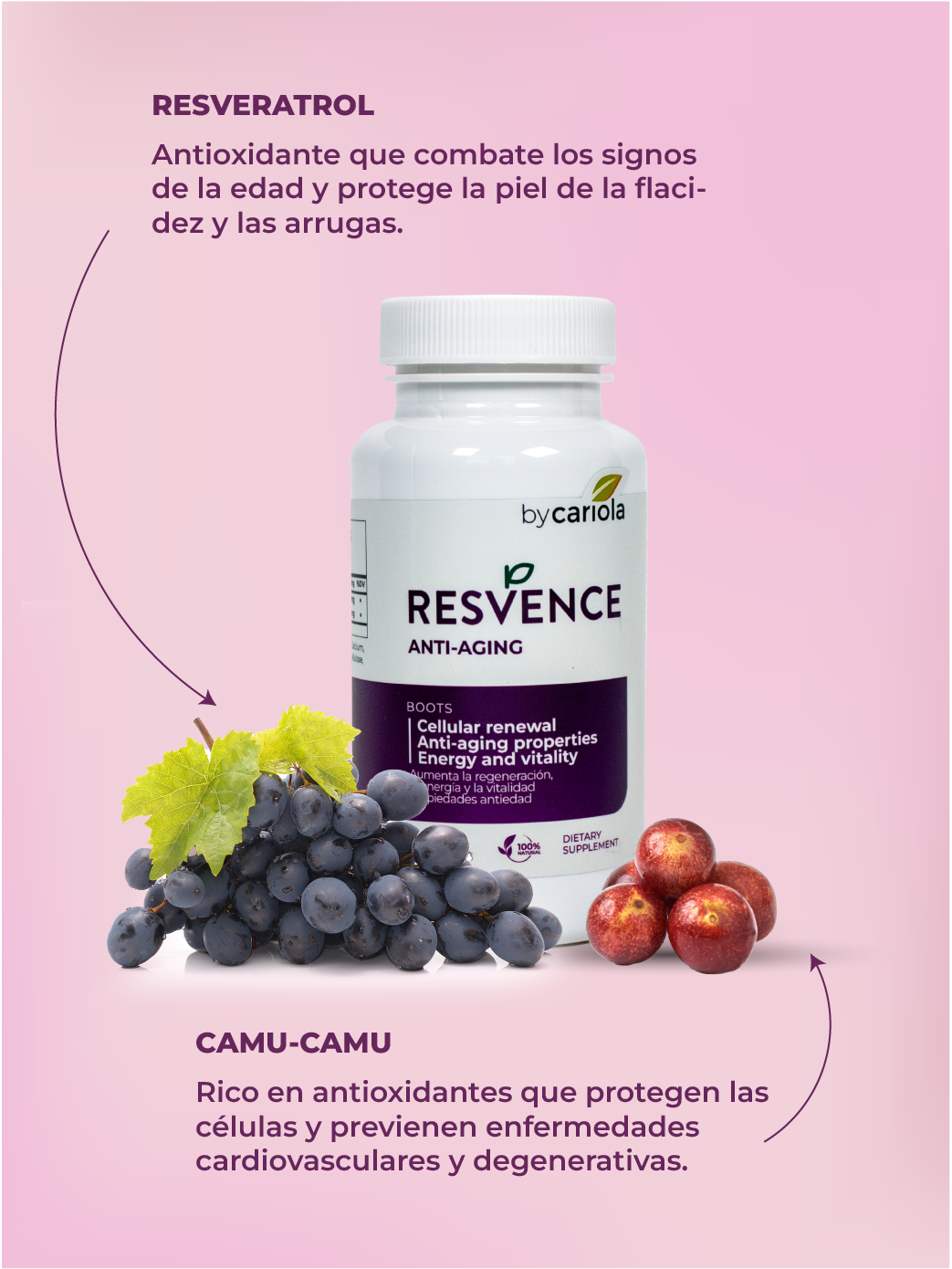 Resvence Antioxidant and Anti-aging with Resveratrol | 60 Capsules