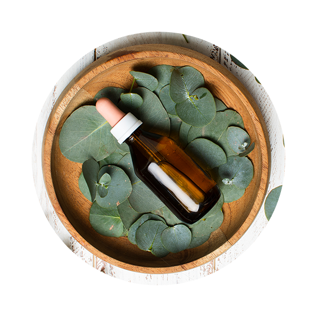 Eucalyptus leaves with essential oil dropper