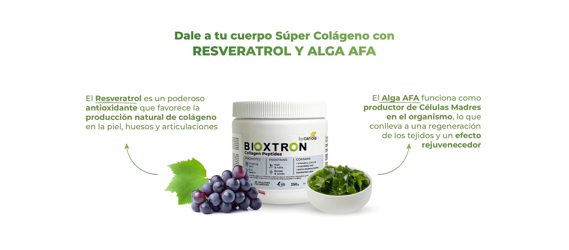 Envase de Bioxtron Colágeno acompañado de uvas y alga AFA, ingredientes naturales presentes en su fórmula
