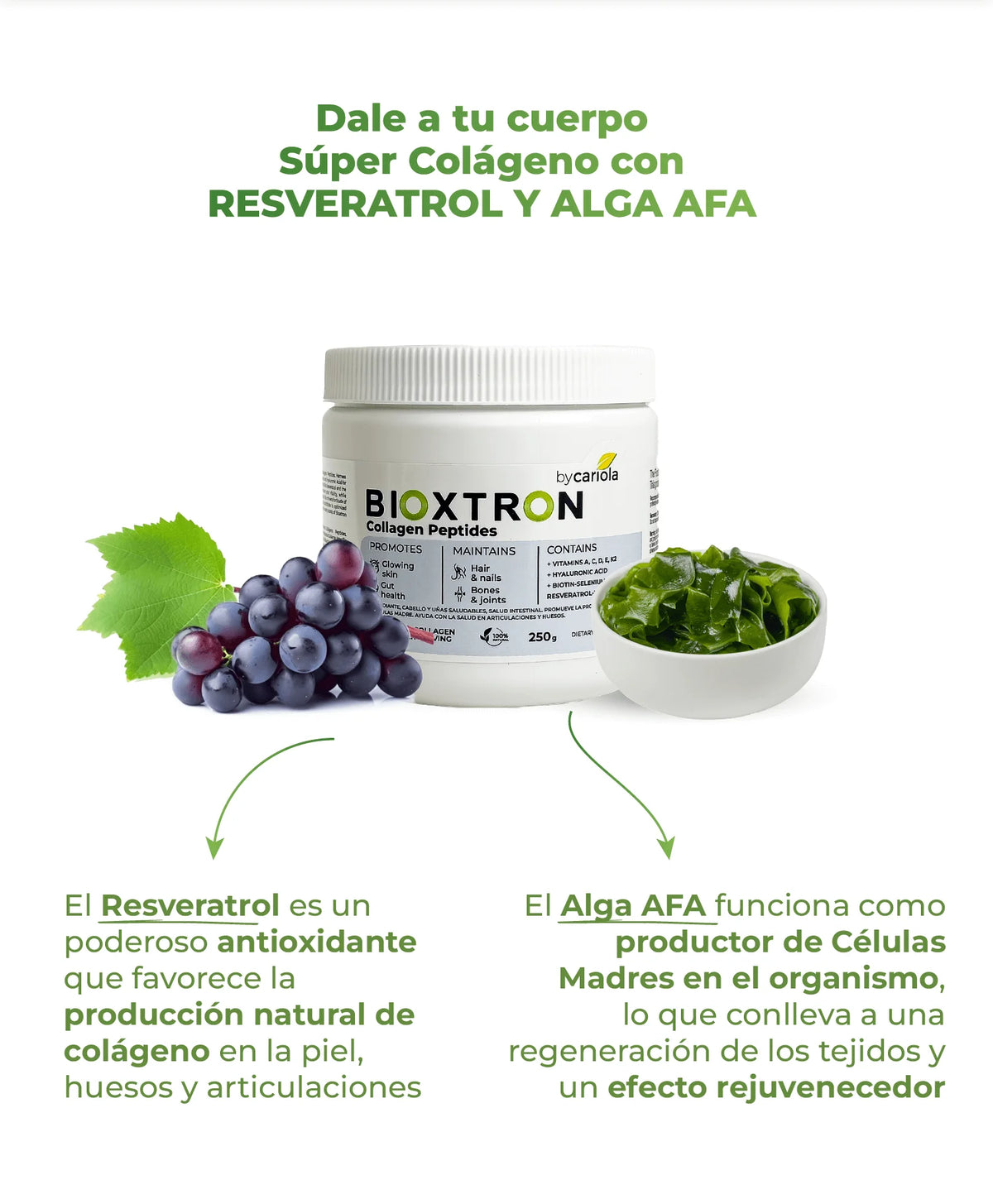 Producto Bioxtron Colágeno acompañado de resveratrol y alga AFA, ingredientes naturales presentes en su fórmula