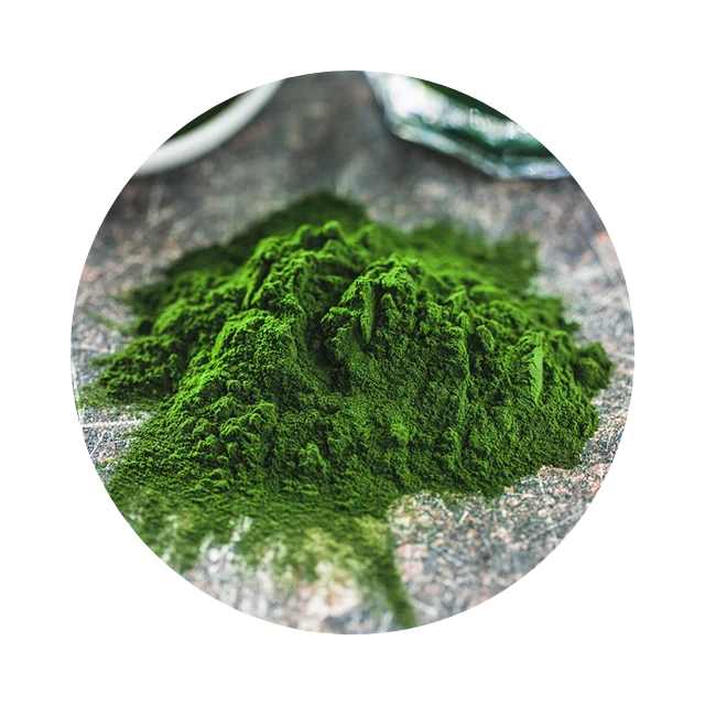 Image of spirulina with natural antioxidant fruits such as berries and citrus