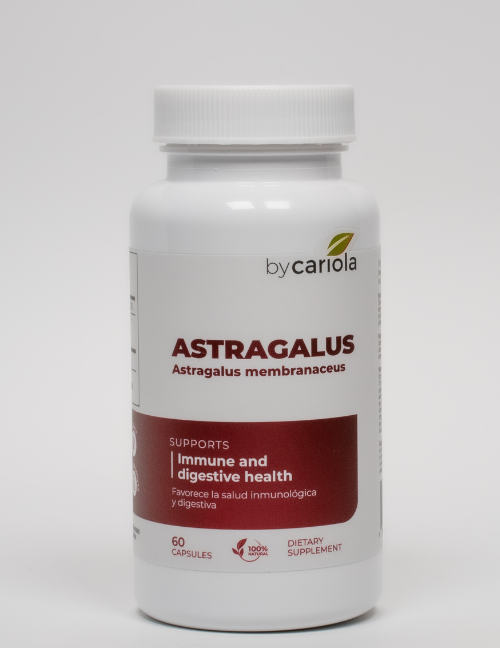 Astragalus | Capsules