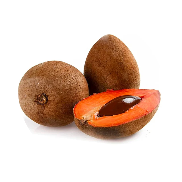 Pouteria sapota seed oil ingredient providing nourishing support for lash and brow vitality.