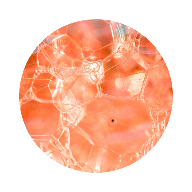 Collagen fibers representing improved skin firmness and elasticity.