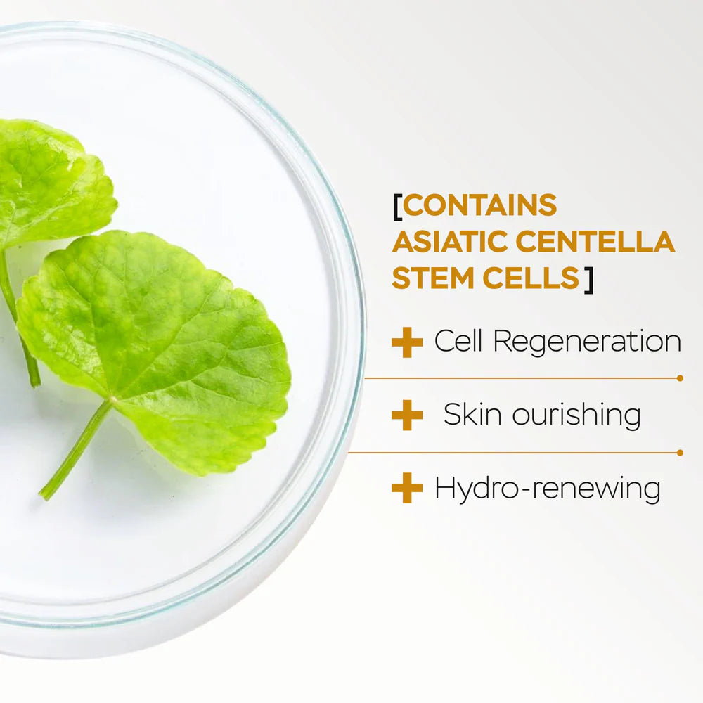 Daytime (AM) and Nighttime (PM) Facial, Neck & Décolleté Rejuvenating Serums with Stem Cells