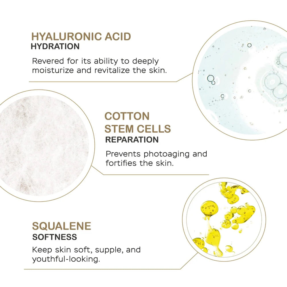 Daytime (AM) and Nighttime (PM) Facial, Neck & Décolleté Rejuvenating Serums with Stem Cells