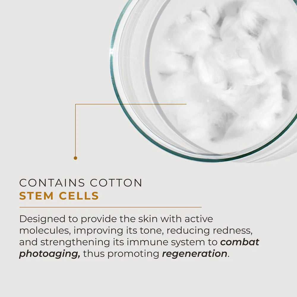 Cotton stem cells help prevent photoaging and support regeneration.